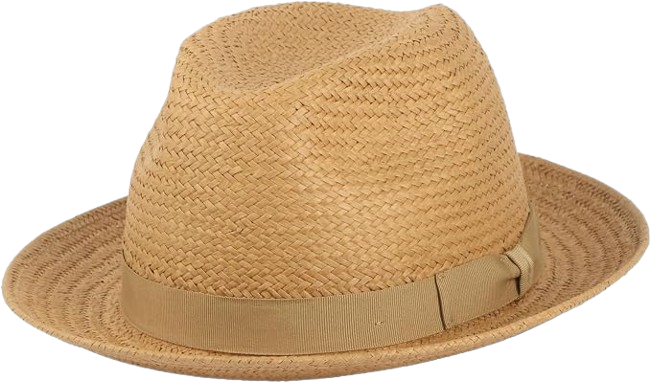 Panamas